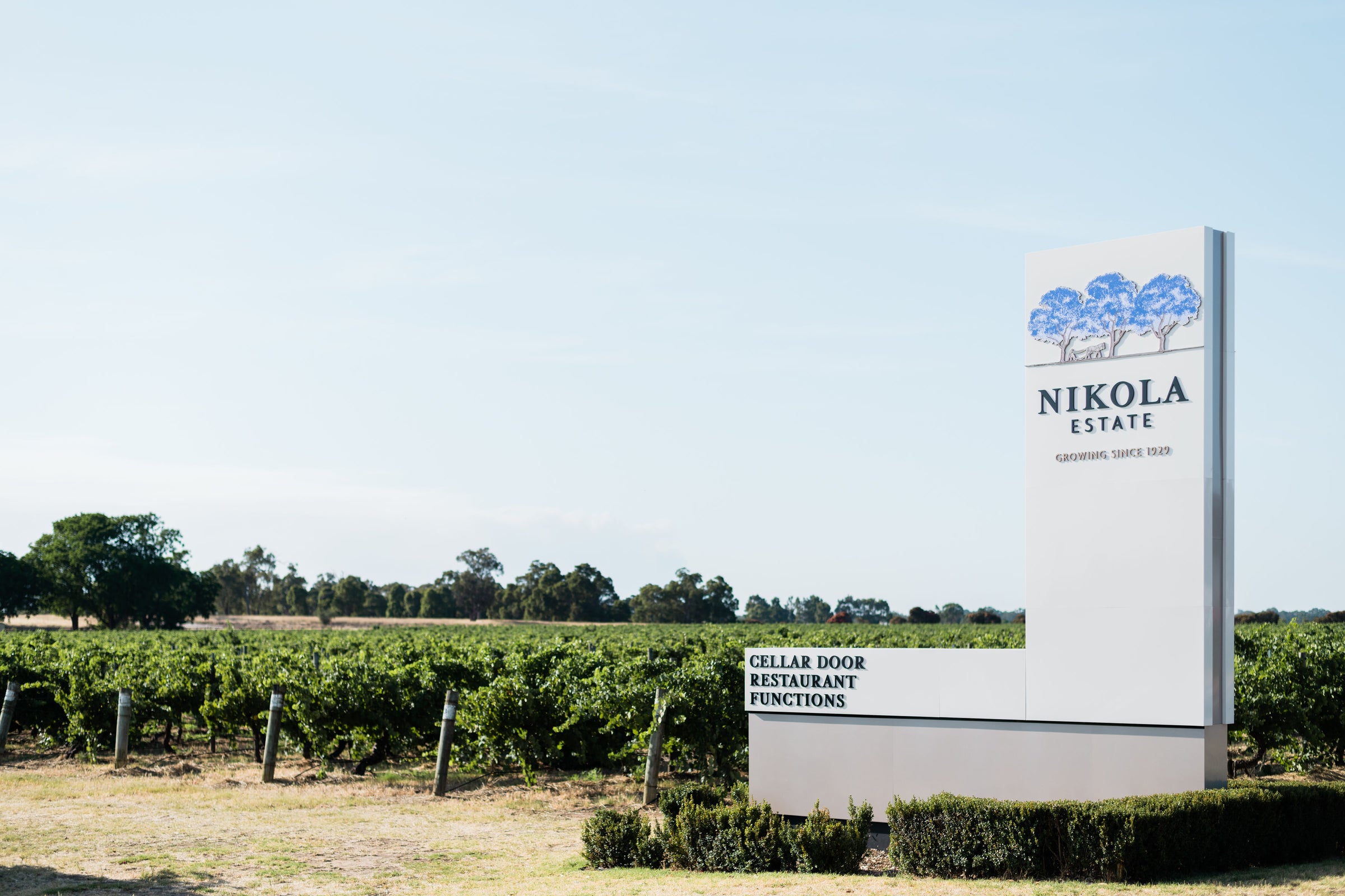 Nikola Estate Wines